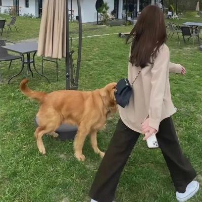 热恋慢慢来