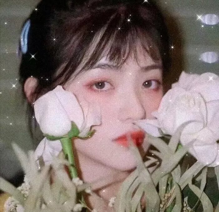 芭乐拍档