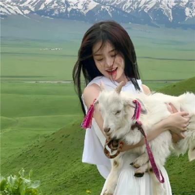西夏死书