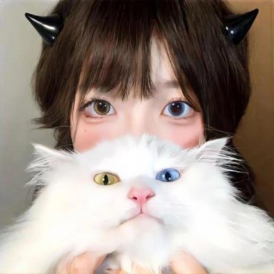学园孤岛 真人版